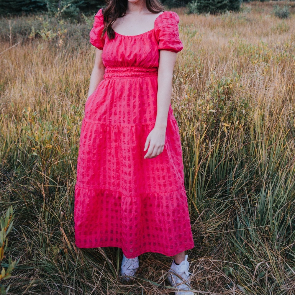 Mid-Length Pink Anthropologie Dress Size S